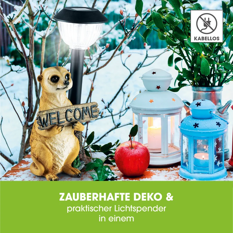 Solarleuchte Erdmännchen mit Laterne/Schild
