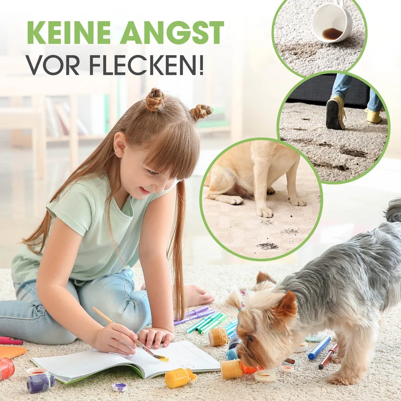 Teppichreiniger AquaStream Plus