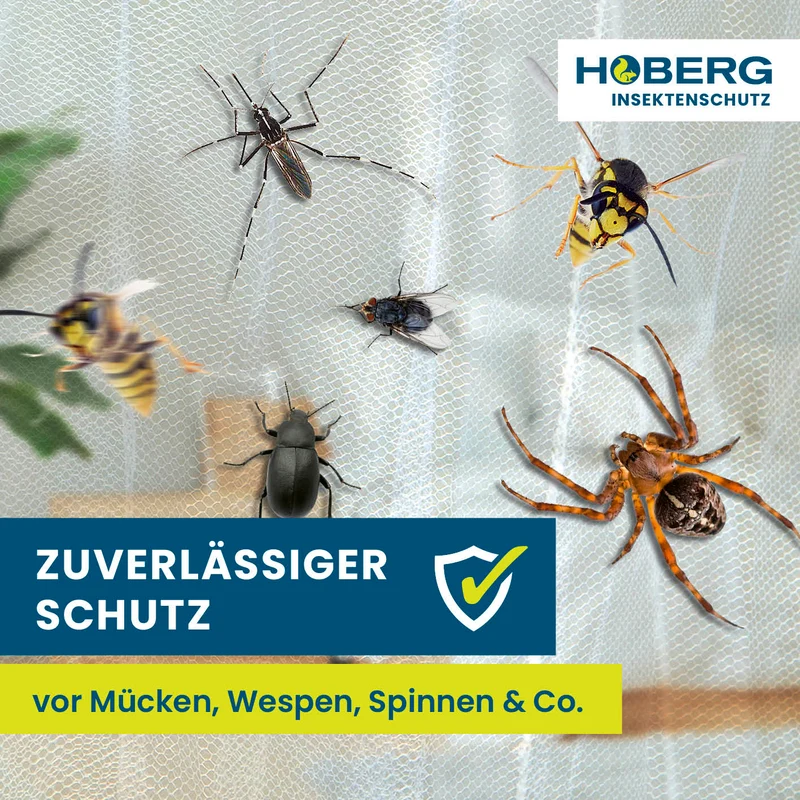 Insekten-Baldachin